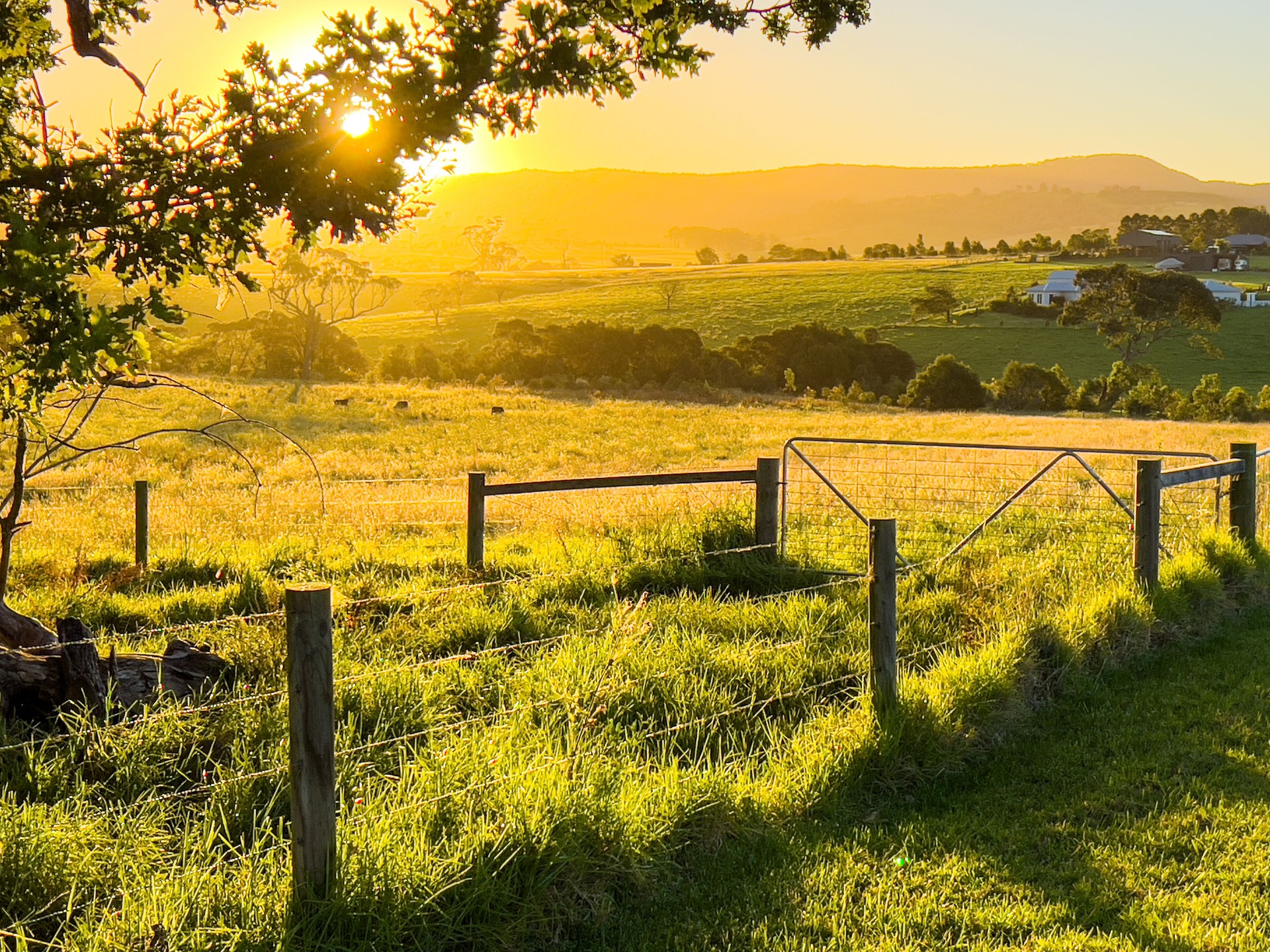 South Coast Golden Hour Landscape